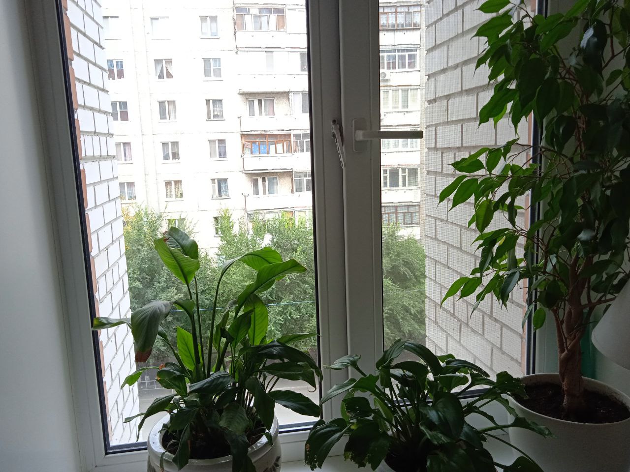 https://kirov.delaem-okna.ru/storage/app/uploads/public/63f/332/8c0/63f3328c0d6f7867060515.jpg